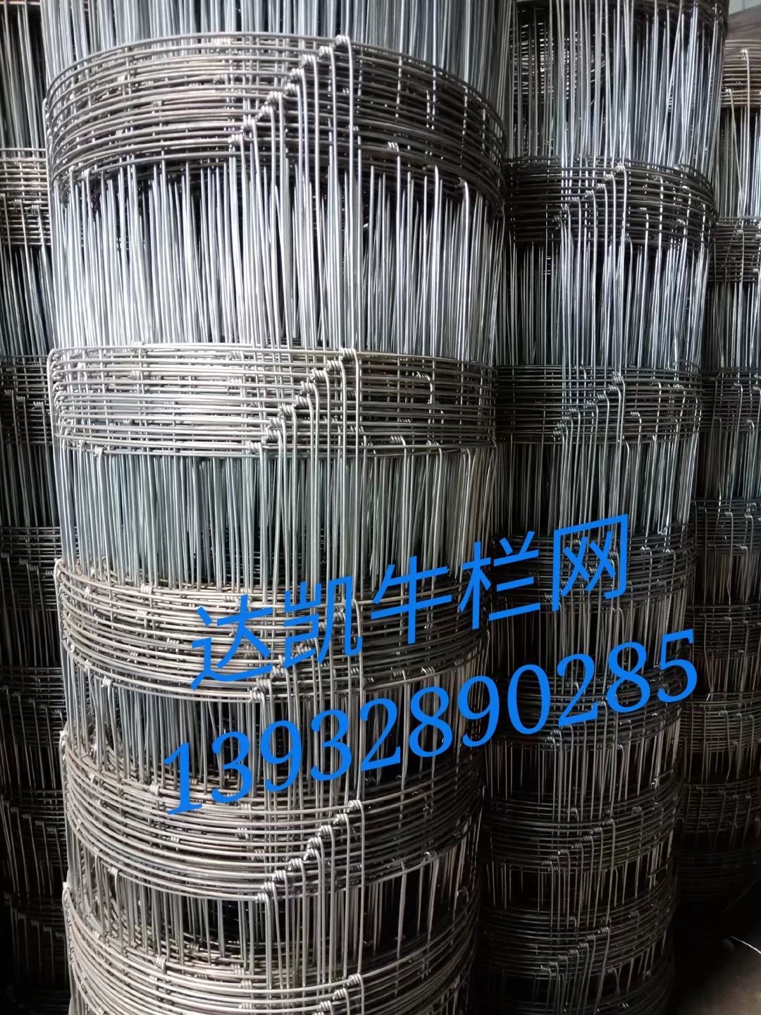 牛栏网